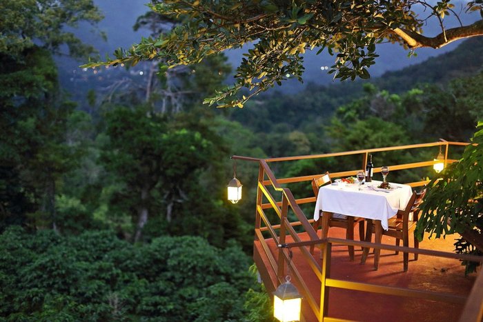 A forest deck dinner experience at Los Establos Boutique Resort Panama