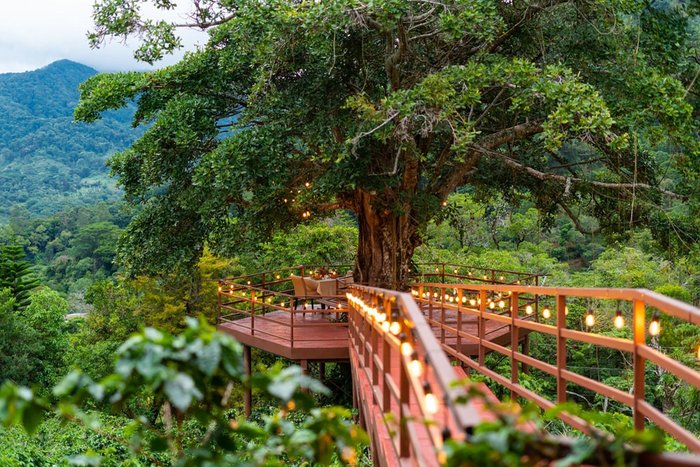 A romantic forest dining deck lit at dusk at Los Establos Boutique Resort Panama