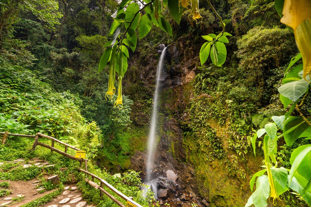 A rainforest waterfall hike near Los Establos Boutique Resort Panama