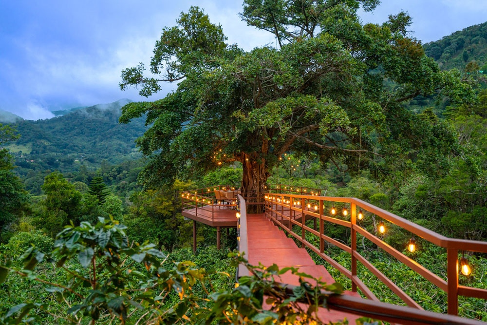 A treetop dining deck at dusk under bistro lights at Los Establos Boutique Resort Panama