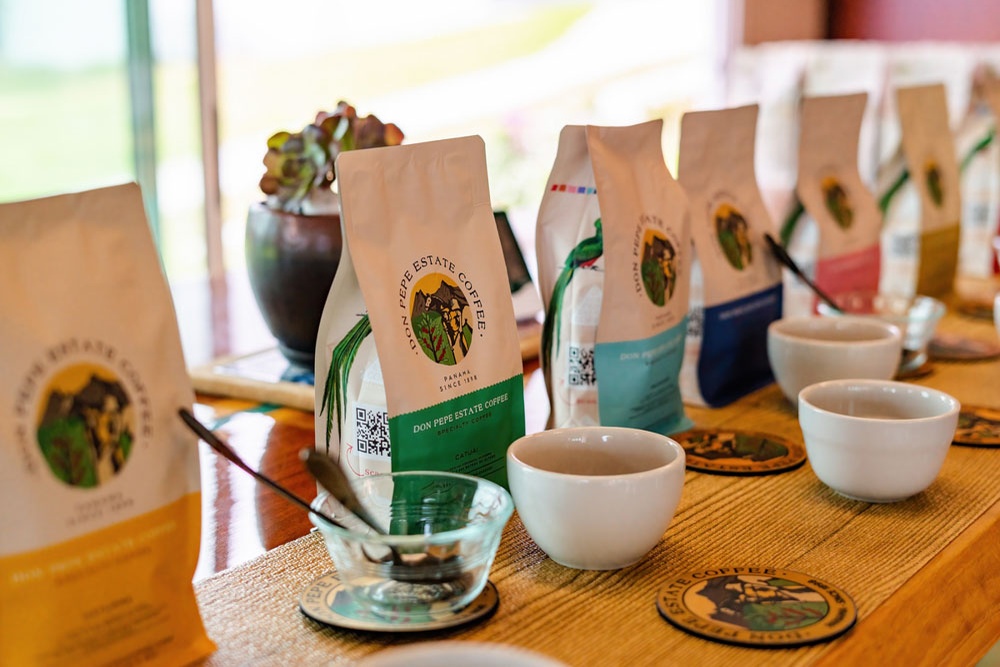 Rainforest Coffee Tasting at Los Establos Boutique Resort Panama