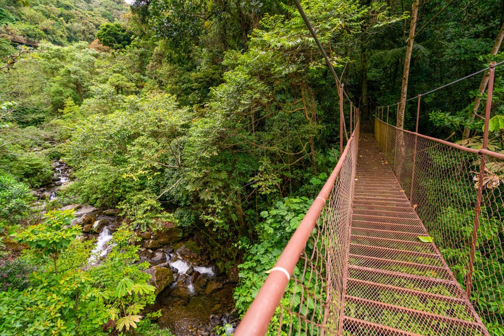 Hanging Bridges Tour at Los Establos Boutique Resort Panama