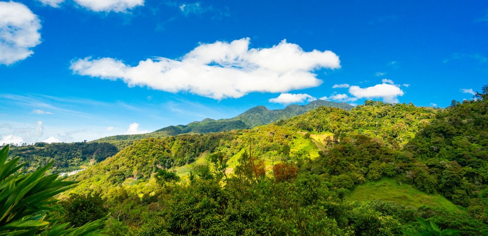 Boquete cloud forest landscape at Los Establos Boutique Resort Panama