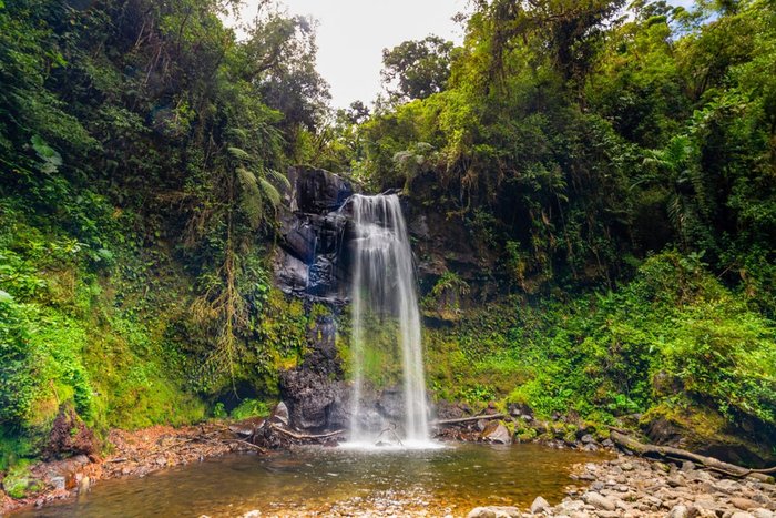 Lost Waterfalls Hike at Los Establos Boutique Resort Panama