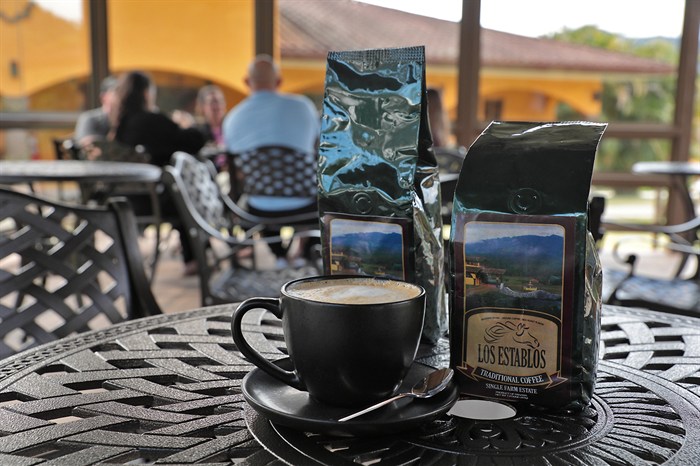 Artisanal Coffee with Views of Volcan Baru at Los Establos Panama